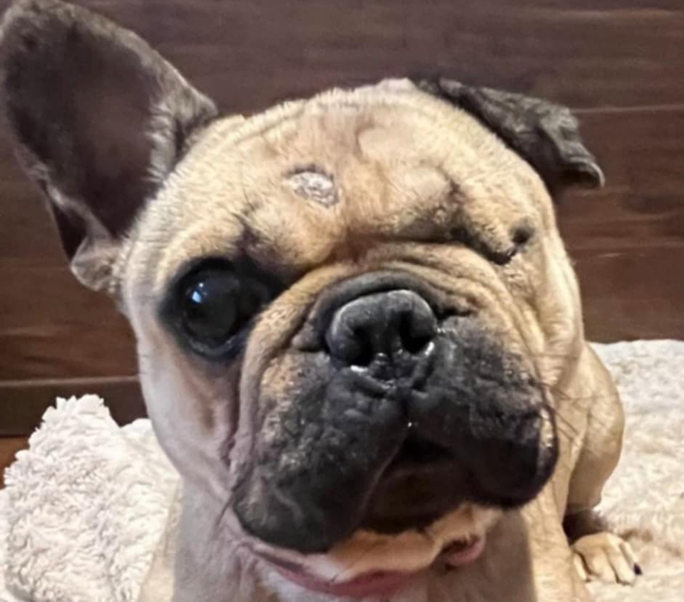 NALA1.jpg